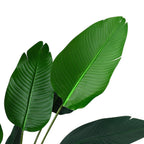 Artificial Plants Banana Leaf Tree with Pot