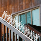 6 Pack Plastic Bird Spikes Deterrent Fence