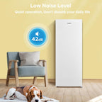 160 Litre Freestanding Upright Freezer