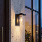 Dusk to Dawn Outdoor Wall Lamp