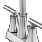 Double Handle Bathroom Sink Faucet with Drainer