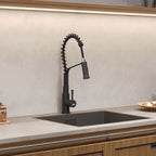 Modern Kitchen Pull Down Faucet