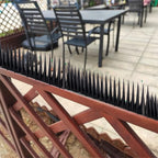 10 Pack Plastic Bird Spikes
