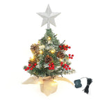 Mini pre-lit tabletop artificial Christmas tree with star topper by Garden Sanctuary, ideal for festive holiday decor.