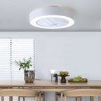 Acrylic Ceiling Fan Features Integrated LED Lighting