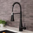 Pre-rinse Pull-Down Swivel Kitchen Faucet