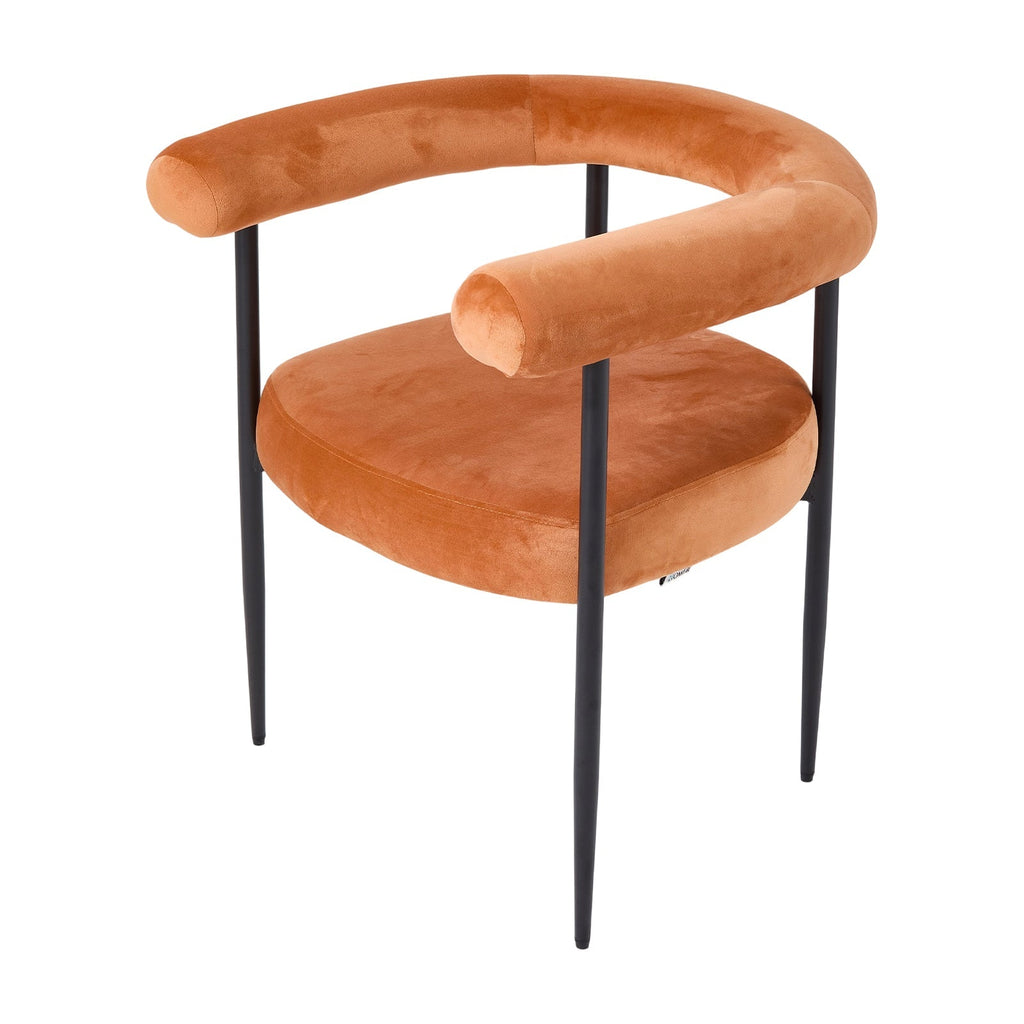 2 Pcs Modern Dining Chairs with Black Metal Legs