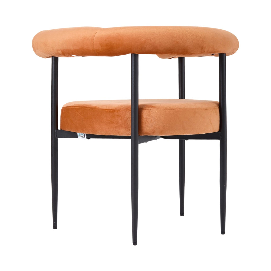 2 Pcs Modern Dining Chairs with Black Metal Legs