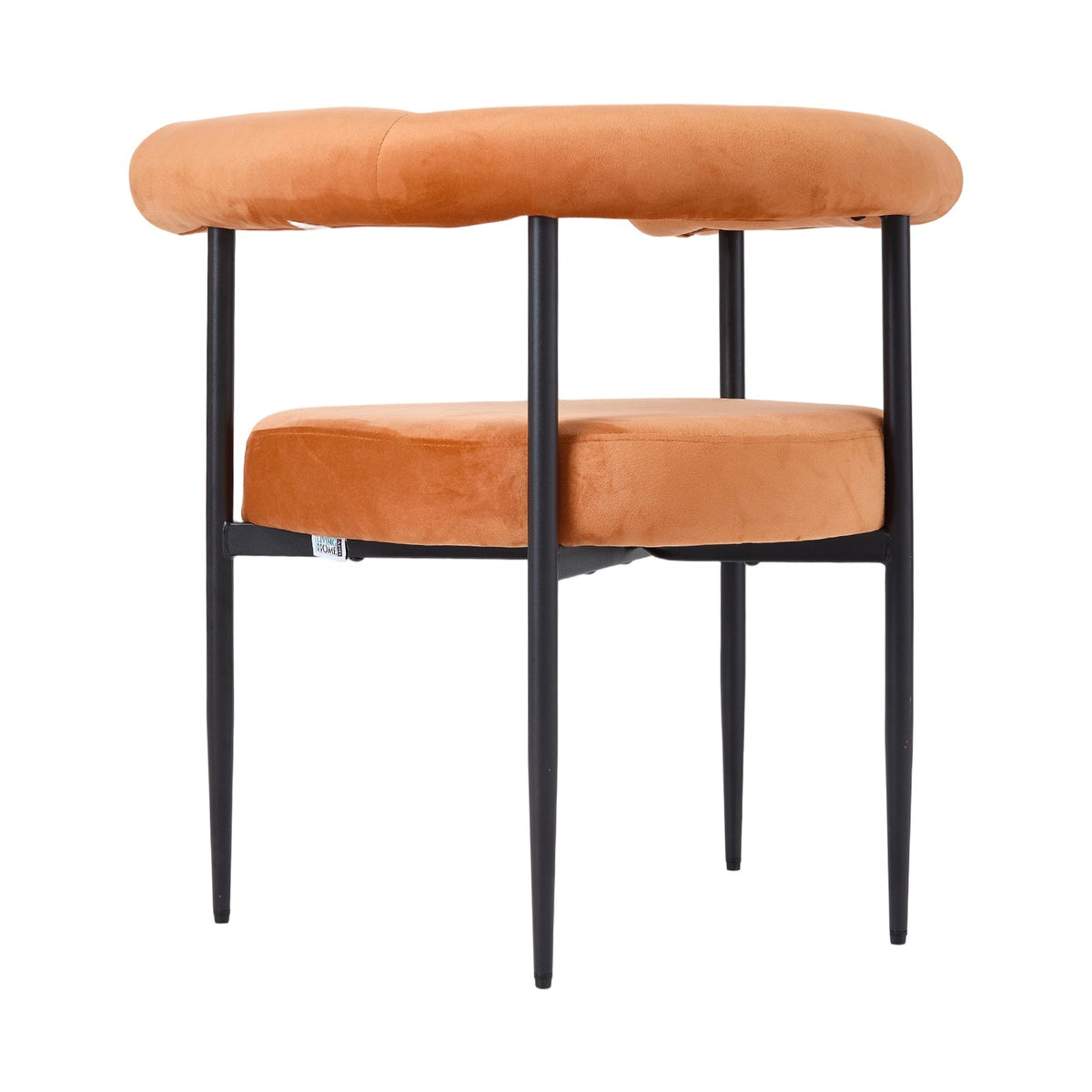 2 Pcs Modern Dining Chairs with Black Metal Legs