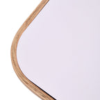 Wall-Mounted Bathroom Adjustable LED Vanity Mirror with Demister