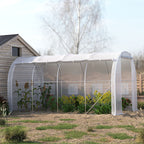 White Outdoor Walk-in Tunnel Greenhouse