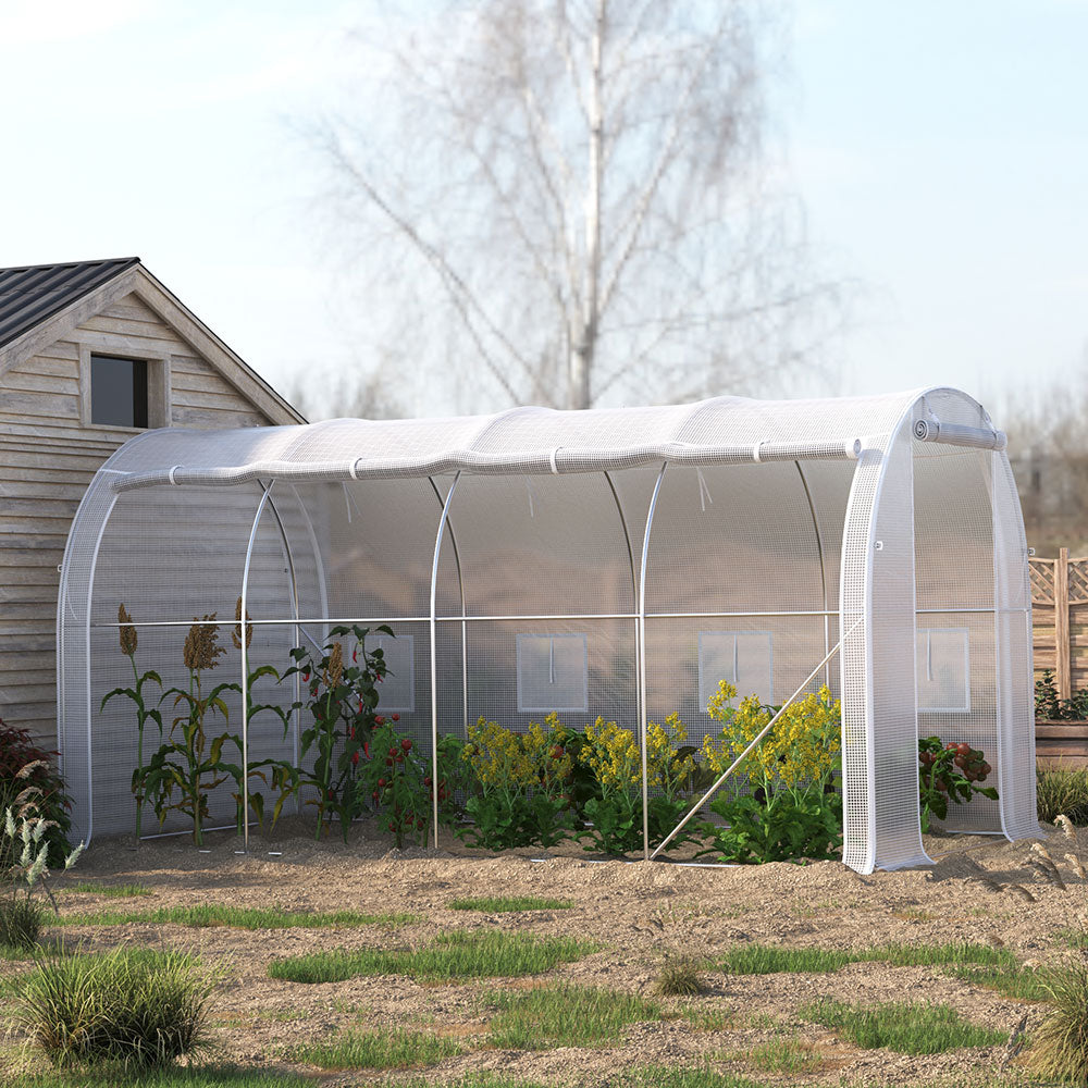 White Outdoor Walk-in Tunnel Greenhouse