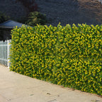 Eucalyptus Wall Panel for Indoor Outdoor