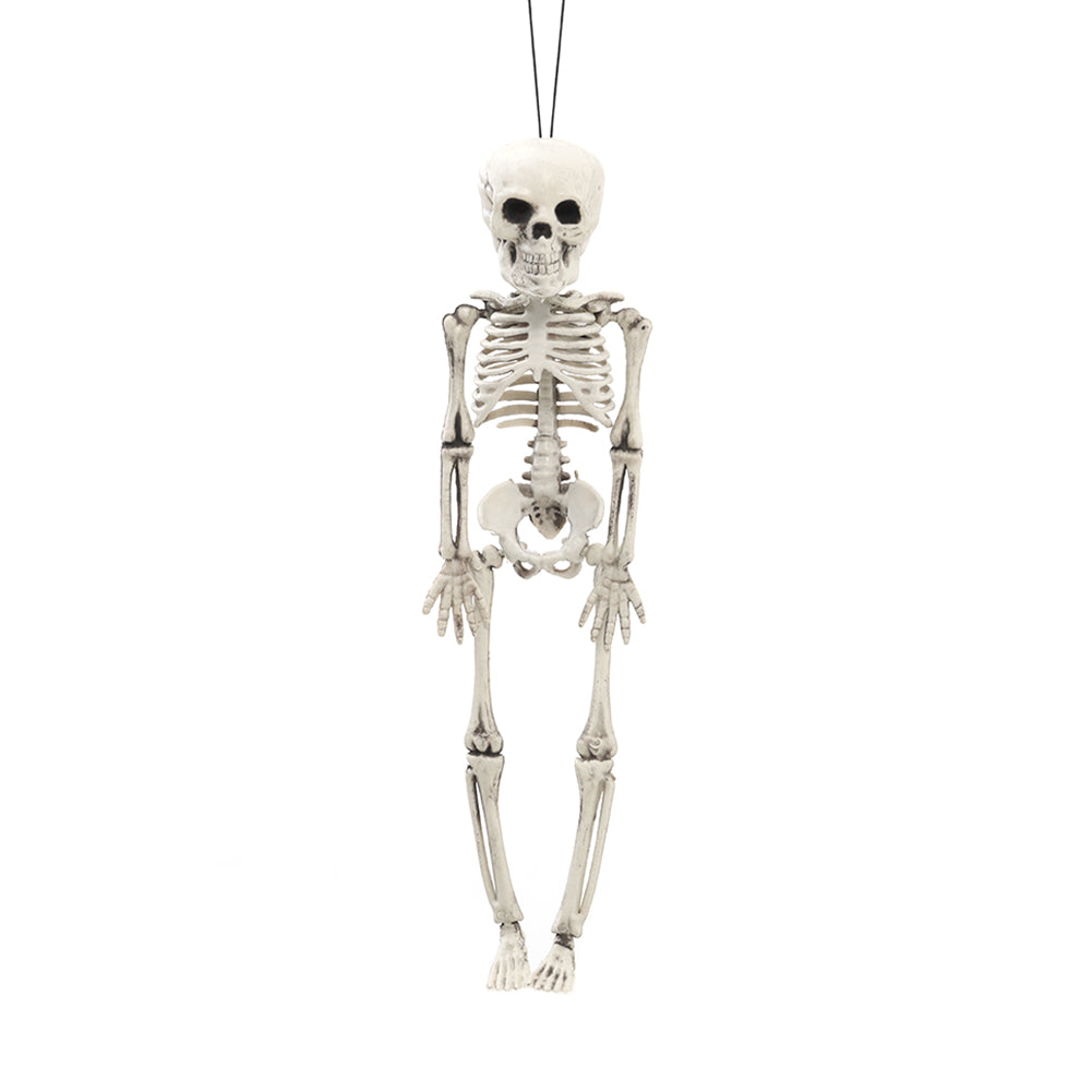 Realistic Posable Hanging Skeleton for Halloween