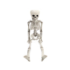 Realistic Posable Hanging Skeleton for Halloween