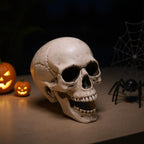 Halloween Realistic Plastic Skull Tabletop Decoration