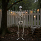Halloween Realistic Full Body Skeleton Prop Decoration Posable Joints