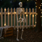 Realistic Full Body Halloween Skeleton Prop with Posable Joints