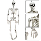 Halloween Realistic Full Body Skeleton Prop Decoration Posable Joints