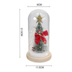 LED glass dome Christmas tree tabletop decoration by Garden Sanctuary, featuring a festive holiday scene inside a clear glass dome.