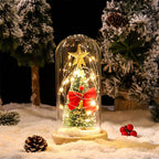 LED Glass Dome Christmas Tree tabletop decoration by Garden Sanctuary with festive lights inside a clear glass dome.