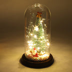 LED glass dome Christmas tree tabletop decoration by Garden Sanctuary with a festive lit tree inside a clear glass dome.