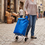 Portable 2-Wheel Shopping Trolley