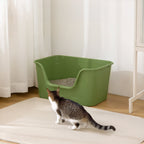 Open Top Cat Litter Box with Scoop