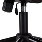 Swivel & Height Adjustable Office Chair with High Back